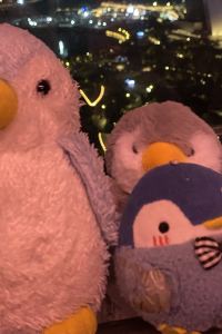 HelloMsCarmen 香港愉景灣酒店優惠