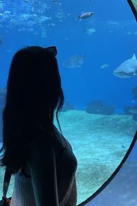 BESTRIP 和昉·五洋公館（杭州西湖湖濱in77店）優惠