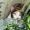 Rayaa!