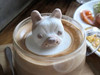 Dailyymiscctungg
