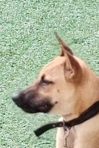 Julie CL NG 普崇陽光賓館優惠