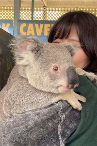 xiw 伽達酒店優惠