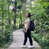 Lijuan