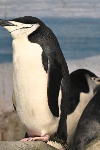 ゲスト 横浜桜木町タウンホテル 24 クーポン