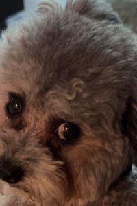 Koomomi si 航行倫敦酒店優惠