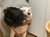 큐대장