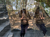 Fernery