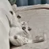 미스터량