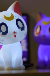 Wing_Wing529 史丹佛瑞士酒店 （SG Clean）優惠