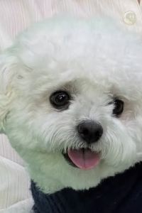 naoriichan R＆Bホテル博多駅前第1 クーポン