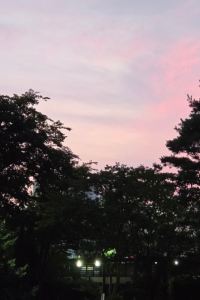 릴리야 여행가자 錦江都城經典上海南京路步行街南京飯店優惠