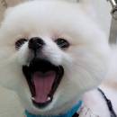 小晞