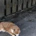 あっちこっちどっち