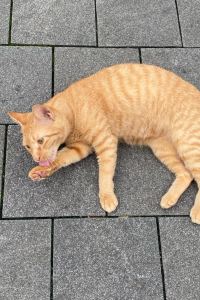 Trouble Is Travel ホテル セカンドステージ クーポン