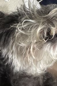 펭미 플레이스 캠프 제주 쿠폰