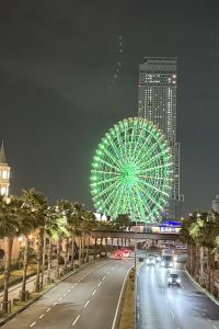 Carrie Chan Ka Wai 潮州財富中心希爾頓歡朋酒店優惠