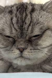 Yokokit 深圳6號花園酒店優惠