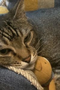 Aluccccce 大理聖托裡尼·雲上天籟海景度假飯店優惠