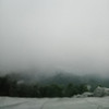 alivesoso