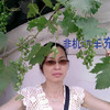 Careen Chew
