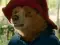 Paddingtonbears
