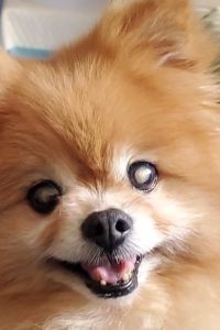 KellyChu W14肯辛頓酒店優惠