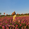 หยาดฝน