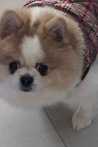 訪客 汕尾顯達酒店優惠