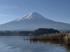 sukun