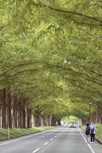 Cornsouppp 香港客舍酒店優惠