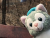 66bear