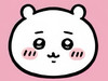 Mon chiikawa