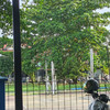 s18437750