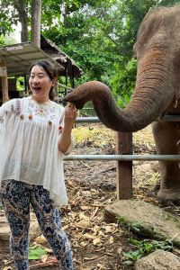 kaili chan 清邁馬拉迪飯店優惠