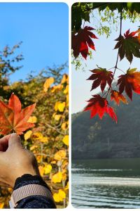 Marinah Ali 新山市中心假日酒店優惠