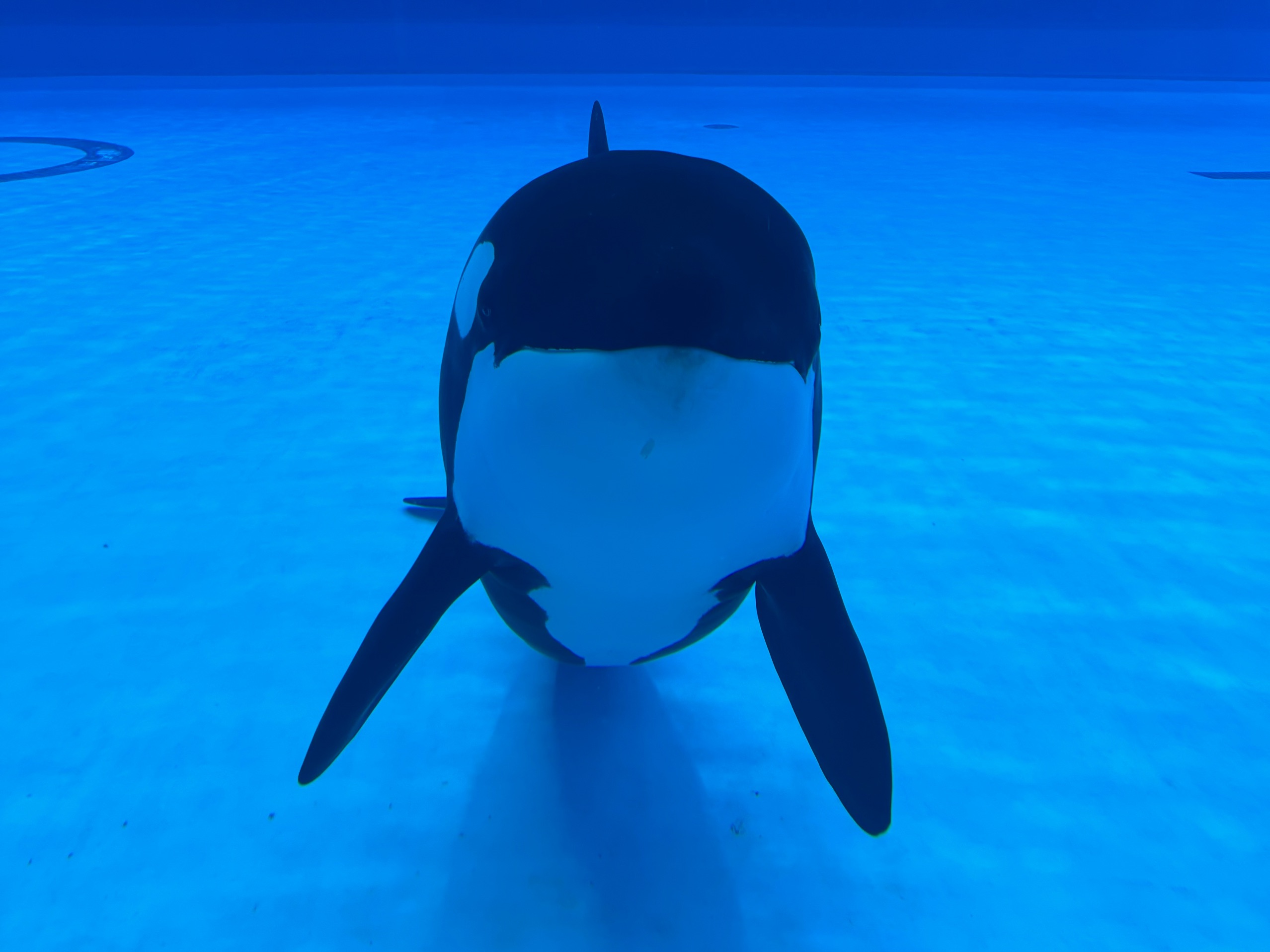 今晚11點你係邊度