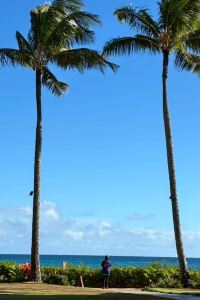 may3 リーガプレイス肥後橋 クーポン