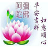 seng0043
