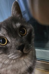 우주사랑 平和台飯店-5優惠