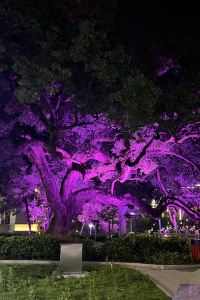 JIA CING KE 雲林風信子商務旅館-斗六館優惠