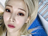 르네다