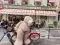 Sad Bear
