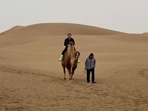 童幸泰朗