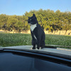sunny_day