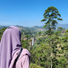 shaya shimal