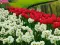 Butter-