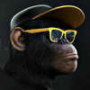 monke