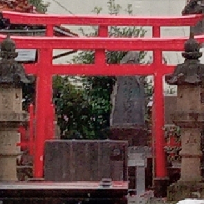 すぎ花粉症コロナ対策バッチリ