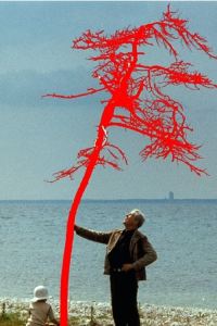 walkslowly KOKO HOTEL 鹿児島天文館 クーポン