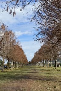 Na塔莎 花蓮美侖大飯店優惠